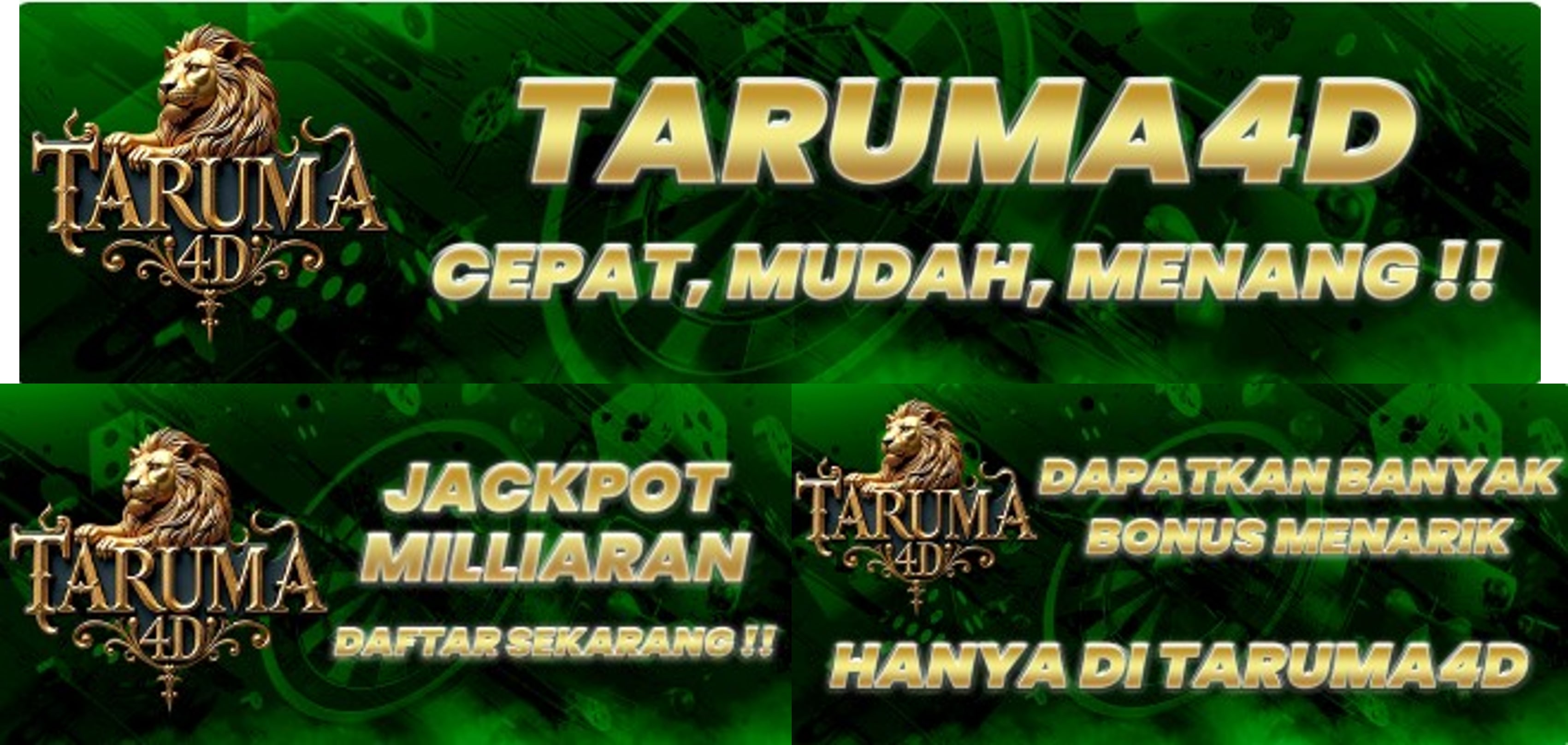 TARUMA4D
